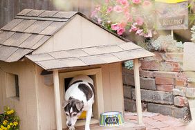 DIY doghouse