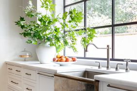 White kitchen with plant and bowl of fruit by sink