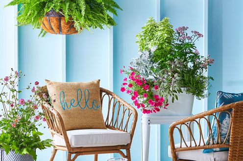 All-weather wicker potted container plants