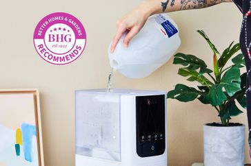 hand pouring water into Levoit Oasis Humidifier