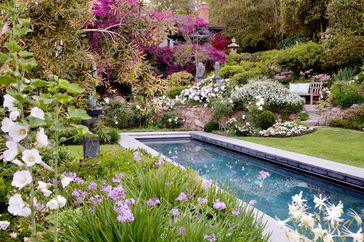 English garden design with pool, lawn and blooming flowers