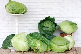 Sapporo Giant Cabbage
