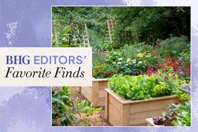 bhg editors favorite finds with wood garden bed photo