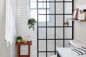 black white modern bathroom with plants