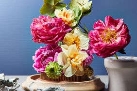 flower frogs with colorful flowers against blue background