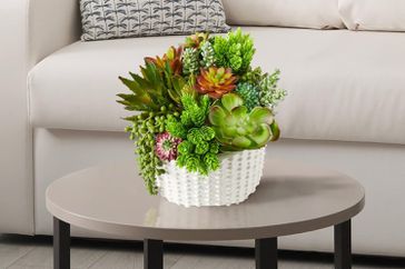 The SEEKO Fake Succulents in a white pot on a coffee table next to a couch